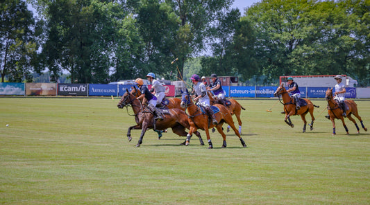 Polo und Genuss Festival 2025 - Rückblick