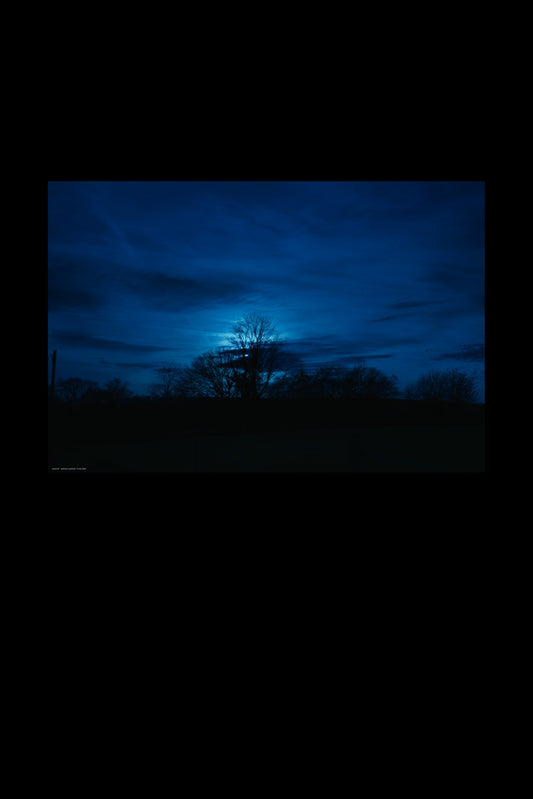 Wandbild "in the dark"