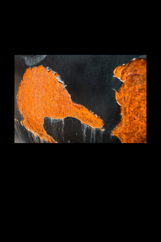 Wandbild "transience"