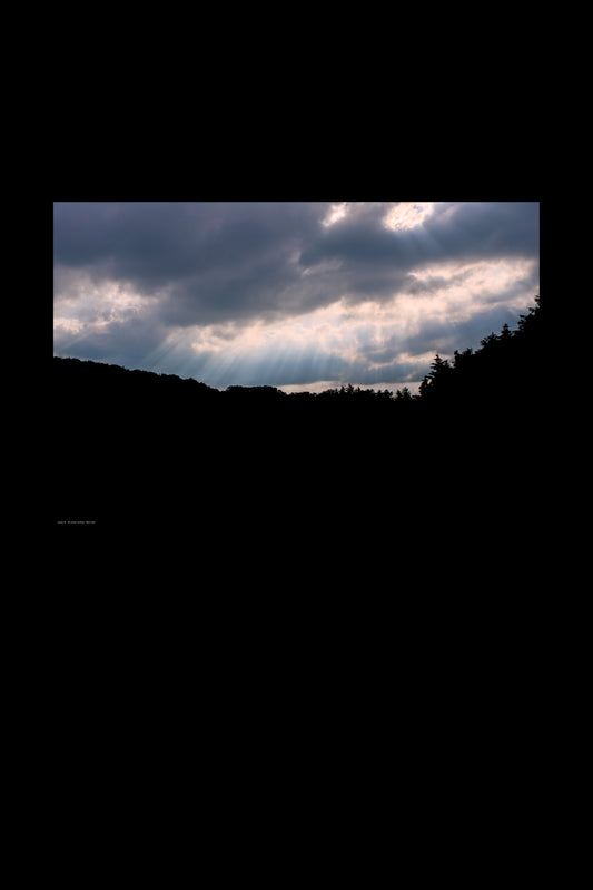 Wandbild "dark view"