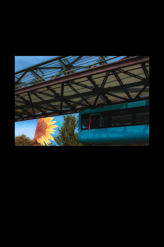 Wandbild "sunflower drive"