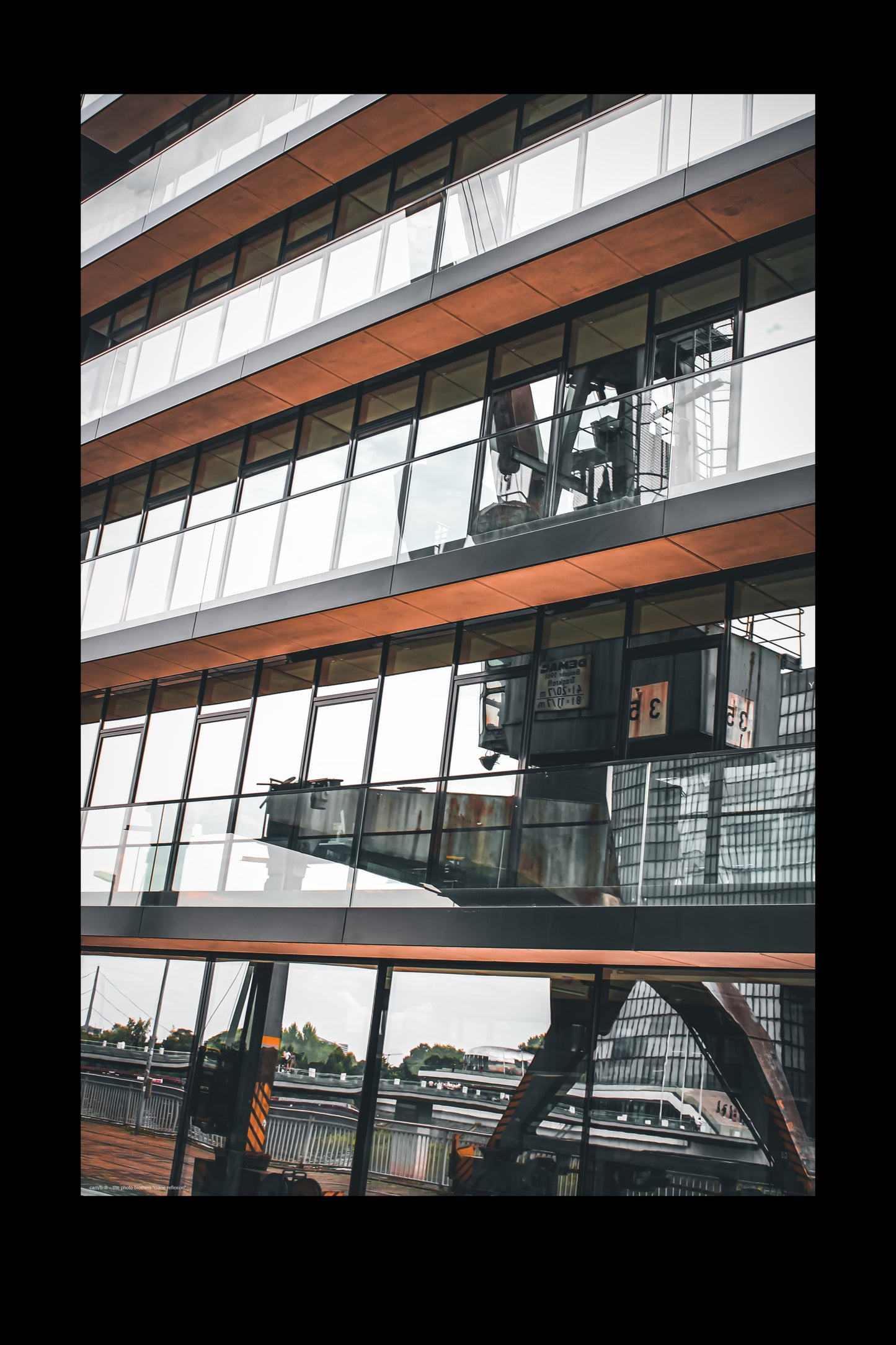 Wandbild "crane reflexion"