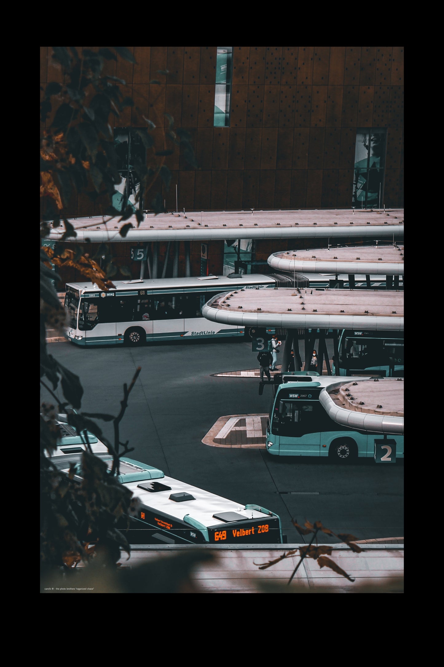 Wandbild "organized chaos"