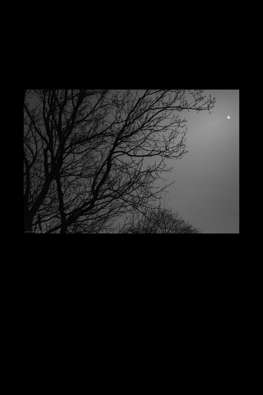 Wandbild "brightly shining"