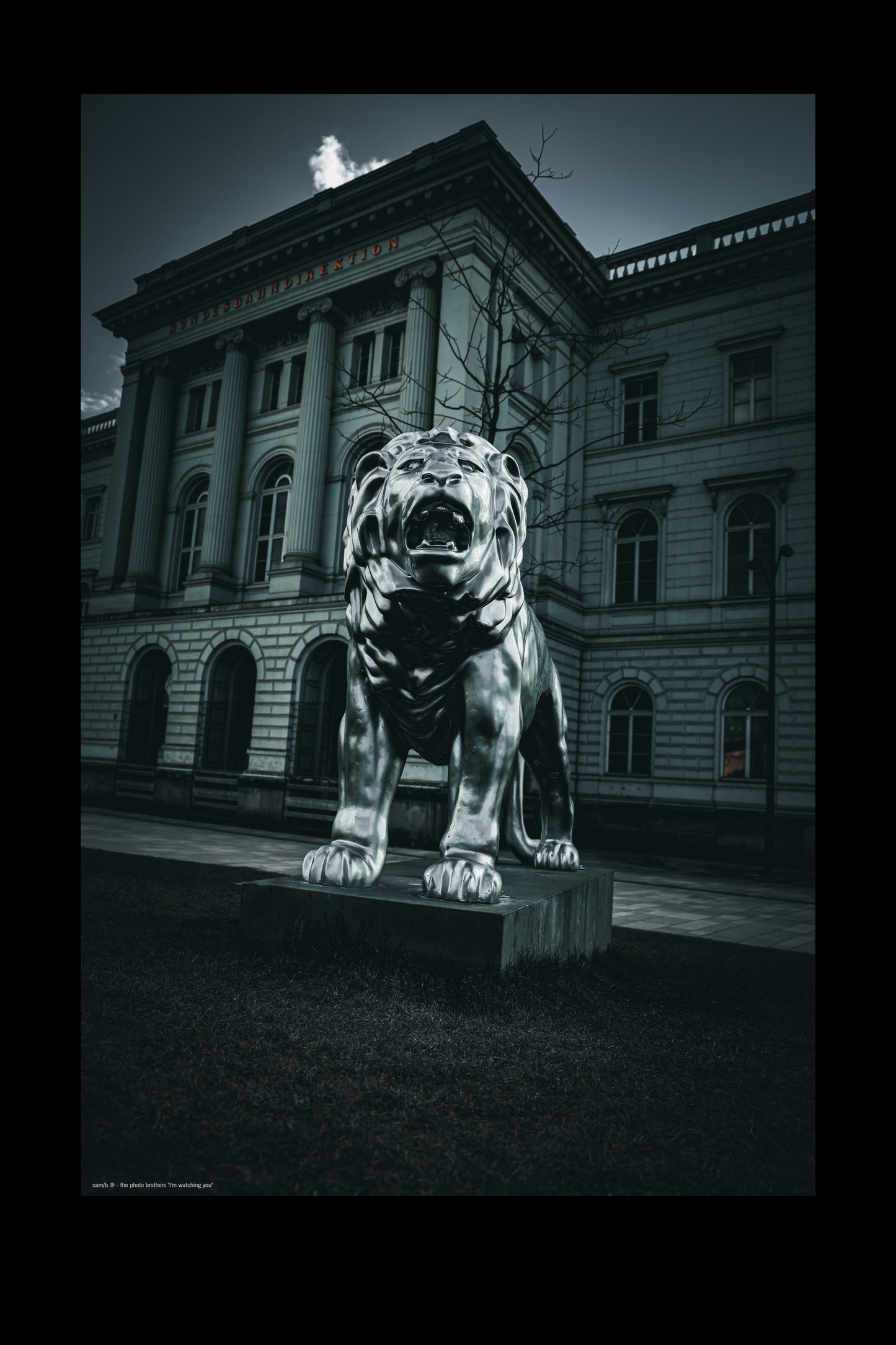 Wandbild "i'm watching you"