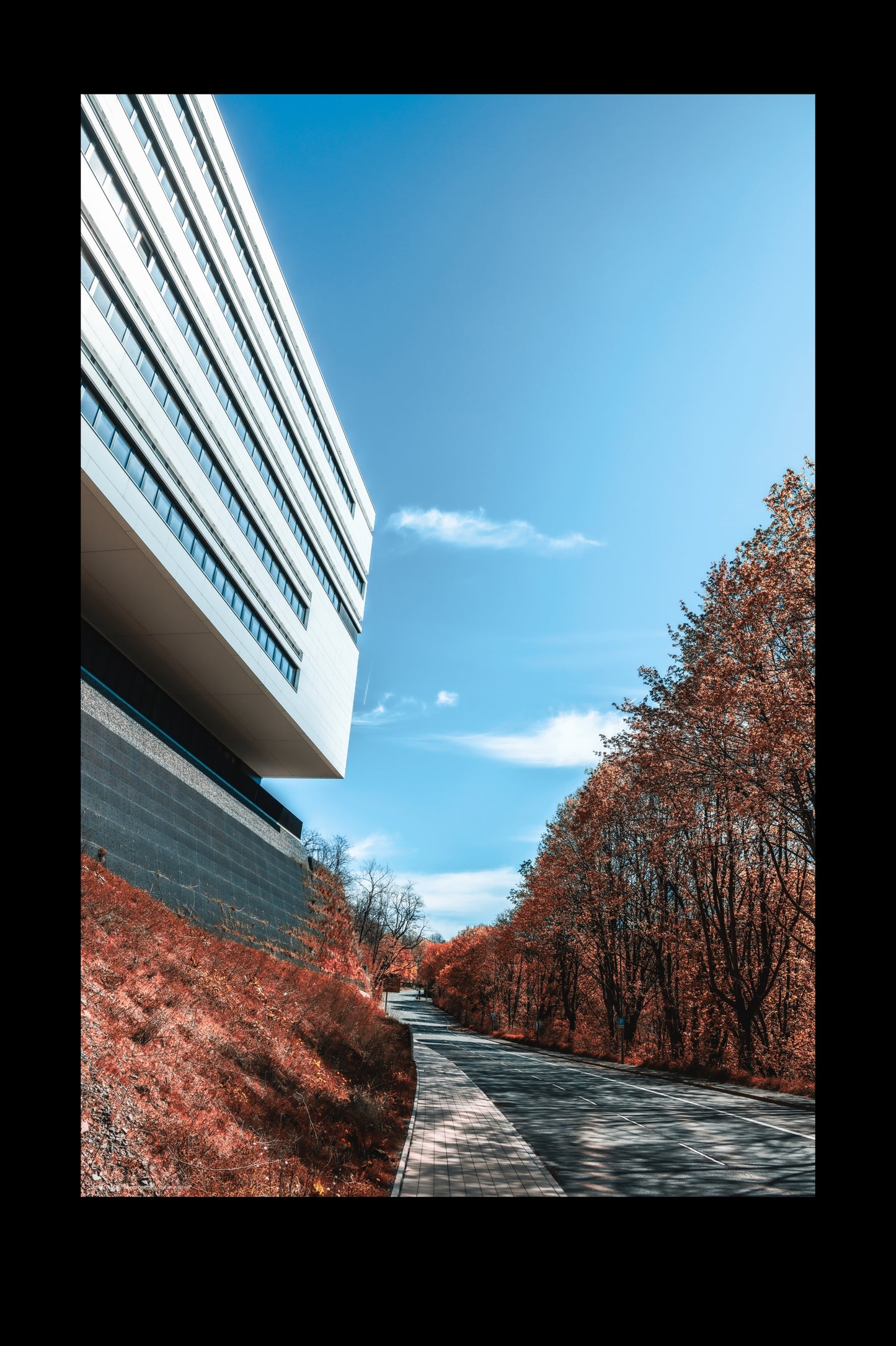 Wandbild "autumn street"