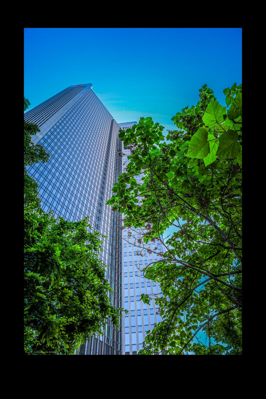 Wall Art "over the hedge"