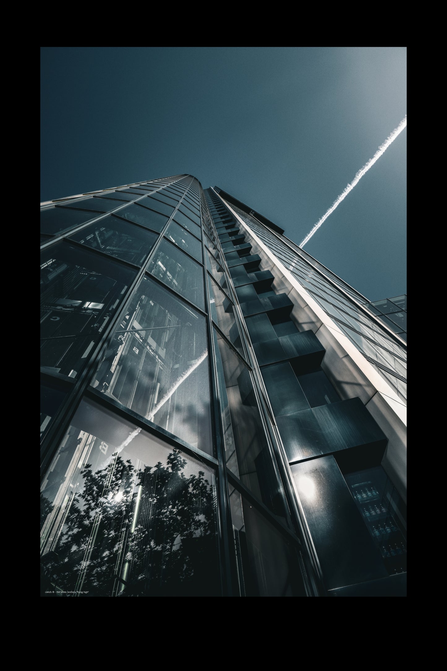 Wandbild "flying high"