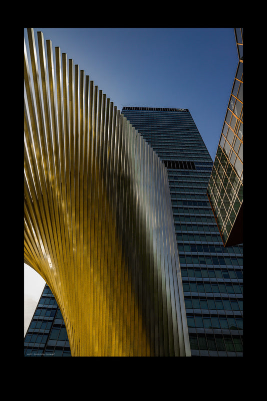 Wandbild "morning gold"