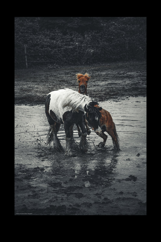 Wandbild "dirty games"