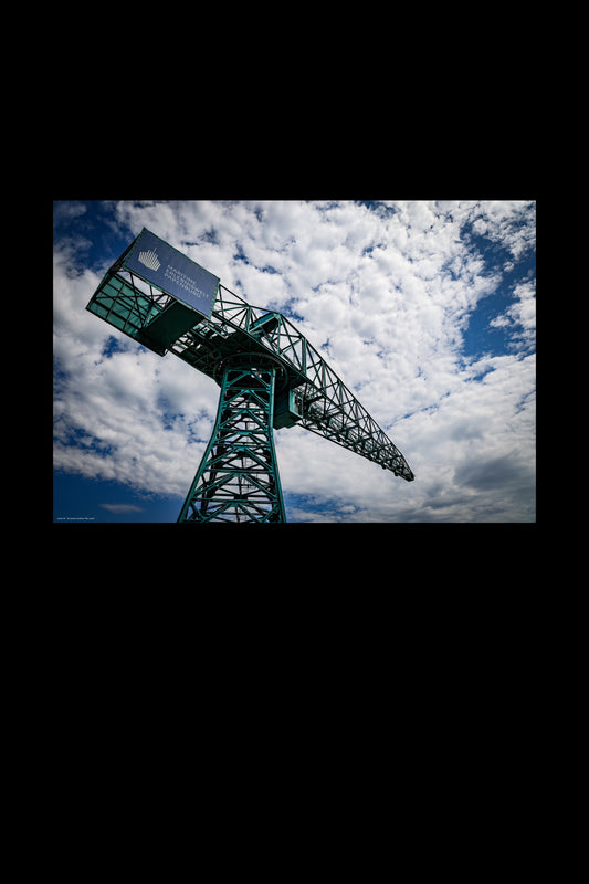 Wandbild "the crane"