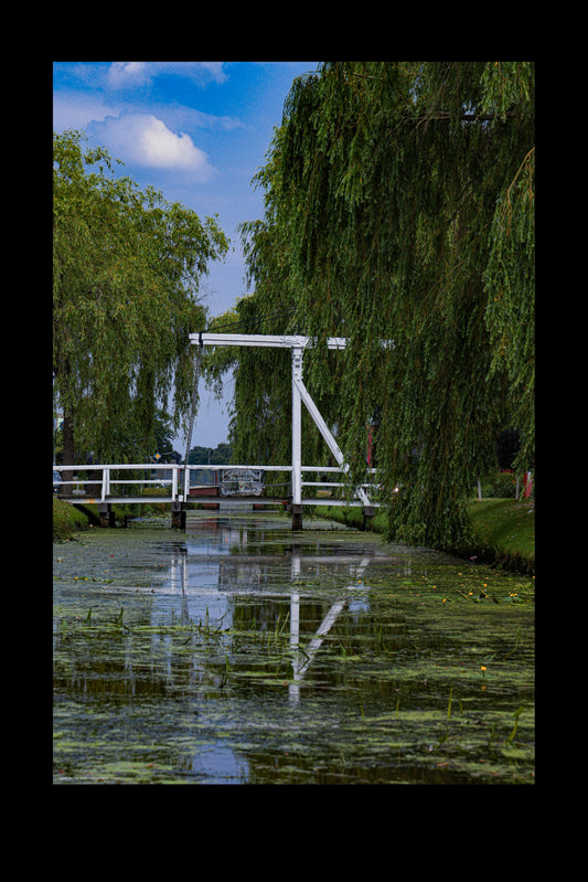 Wandbild "white bridge"