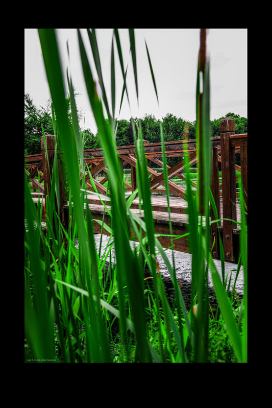 Wandbild "hide and seek"