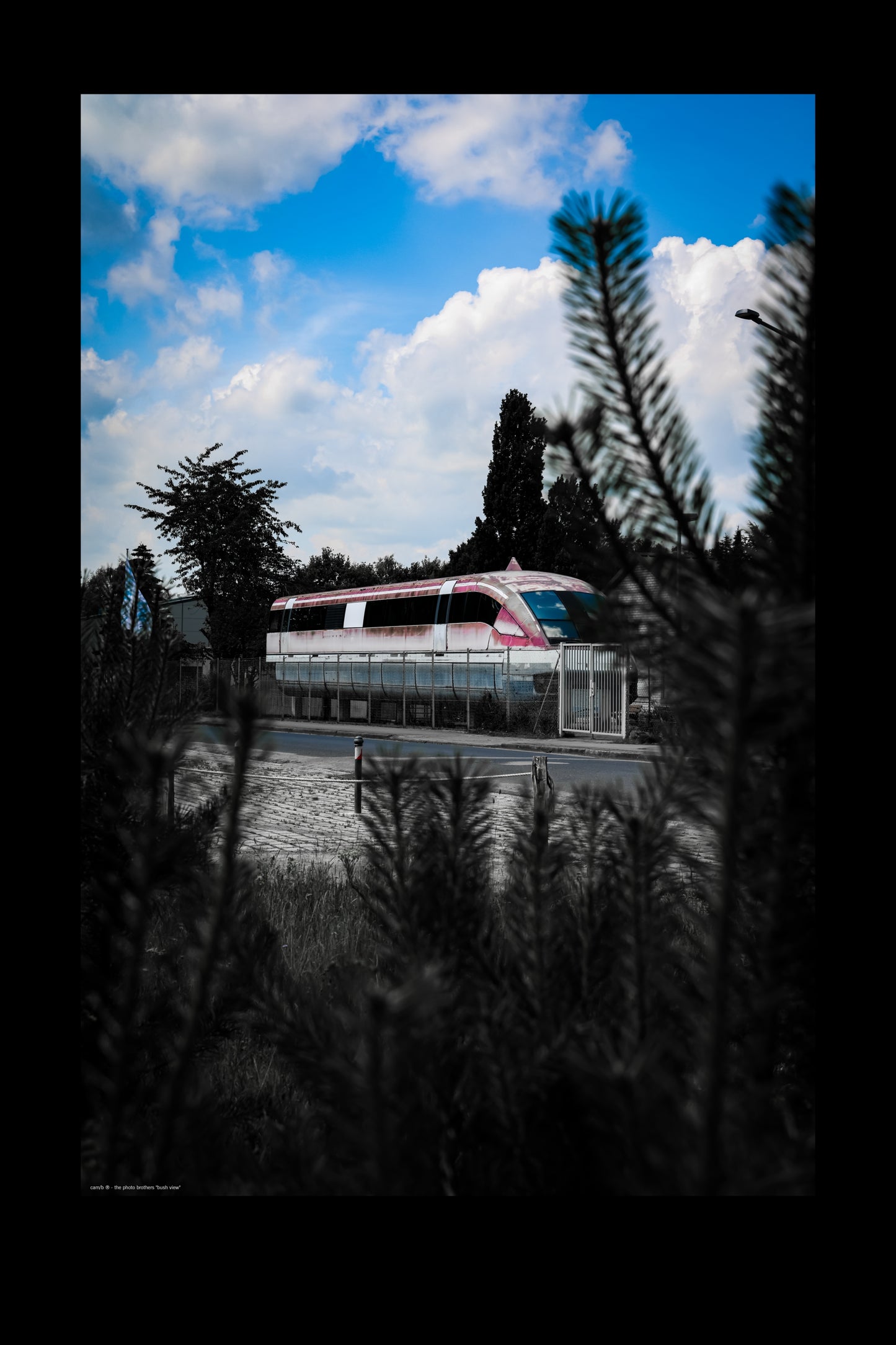 Wandbild "bush view"