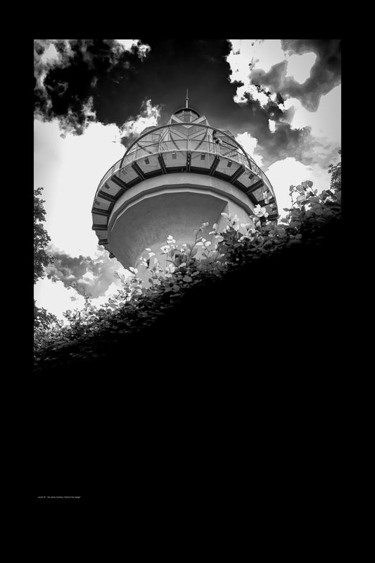 Wandbild "behind the hedge"