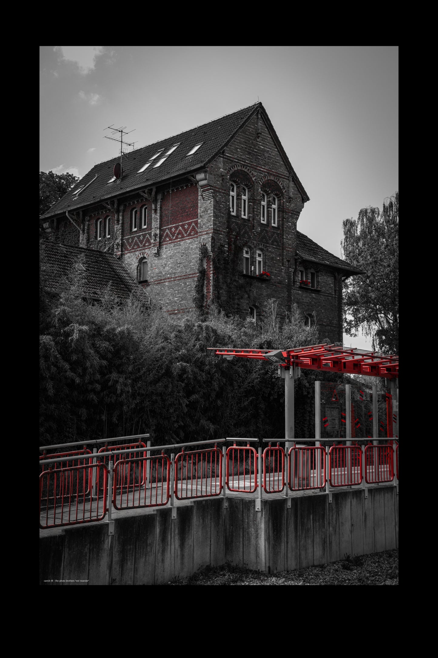 red neander