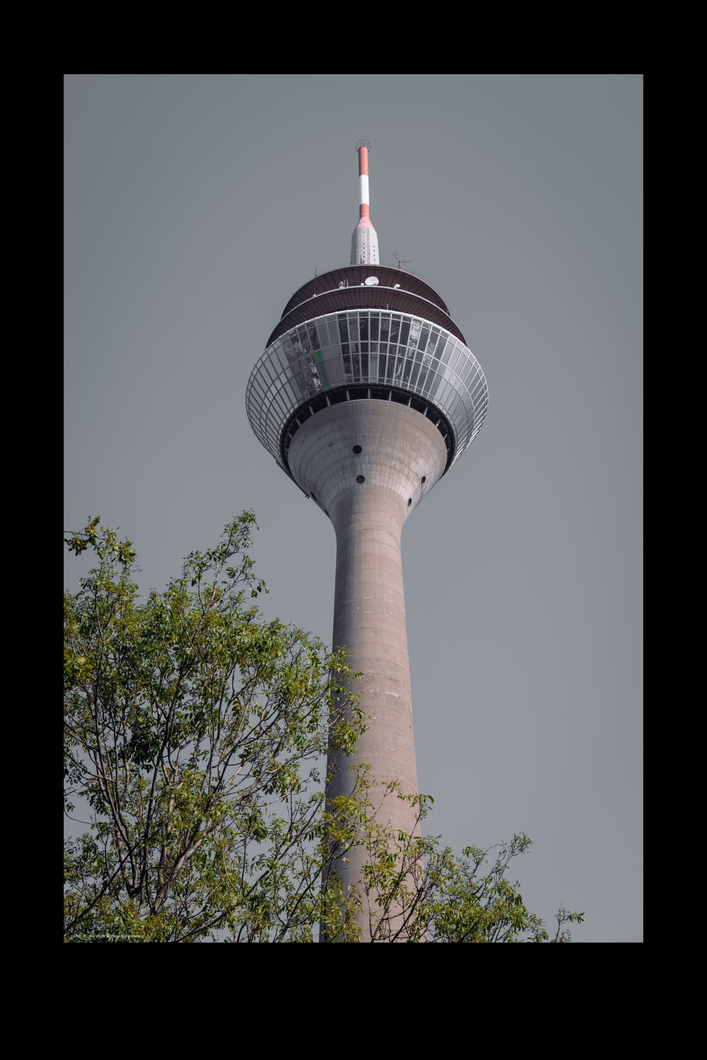rhine tower g