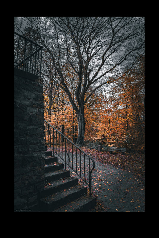 Wandbild "no leaves"