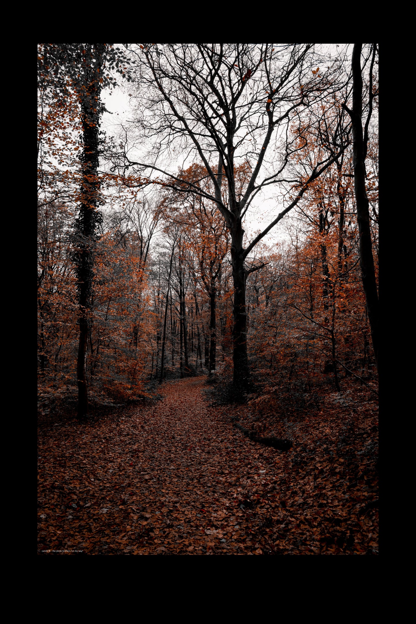 Wandbild "on my way"