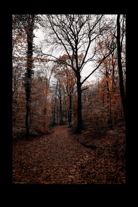 Wandbild "on my way"