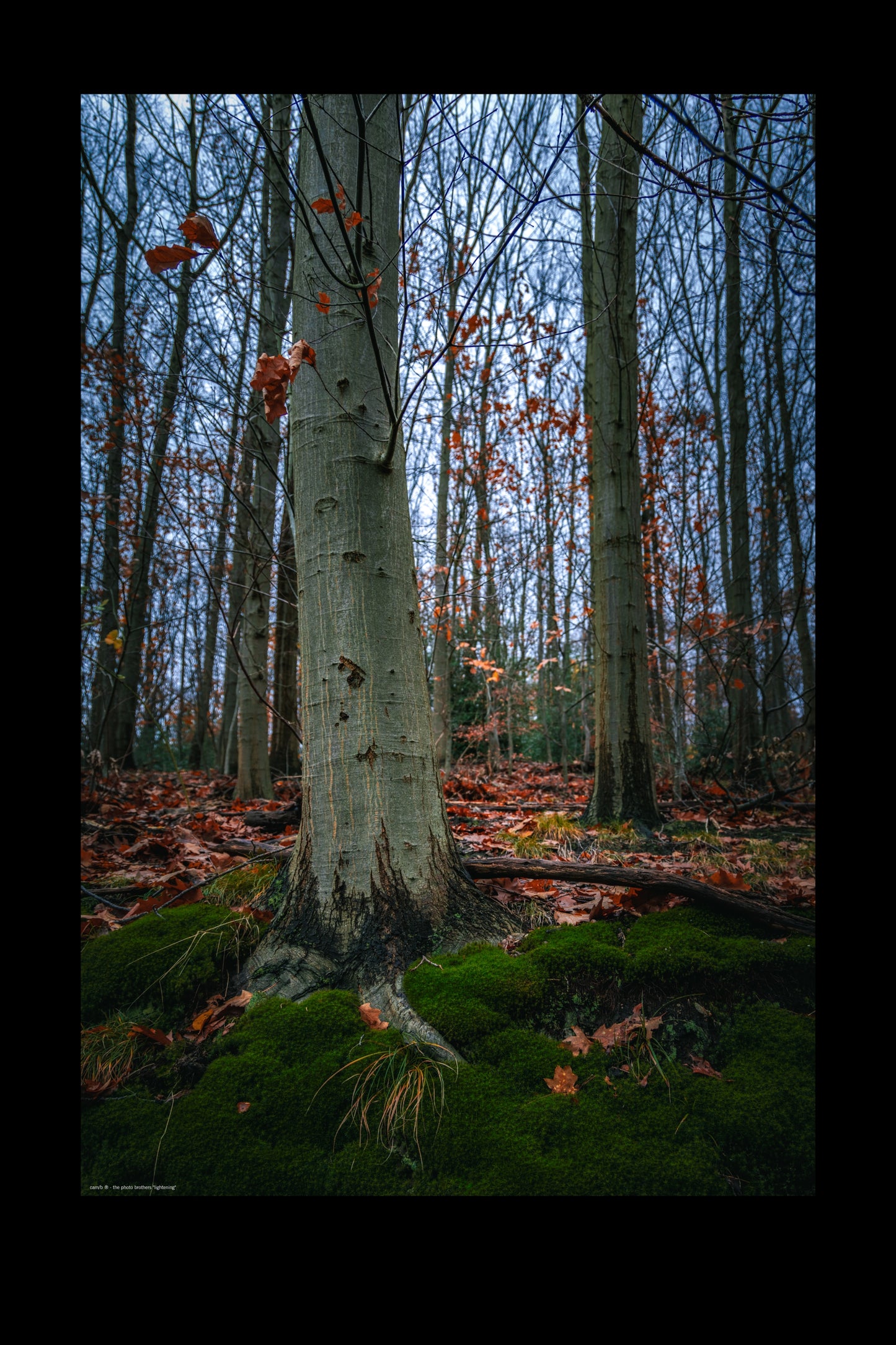 Wandbild "lightening"