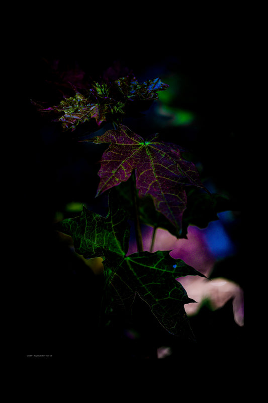 Wandbild "neon leaf"