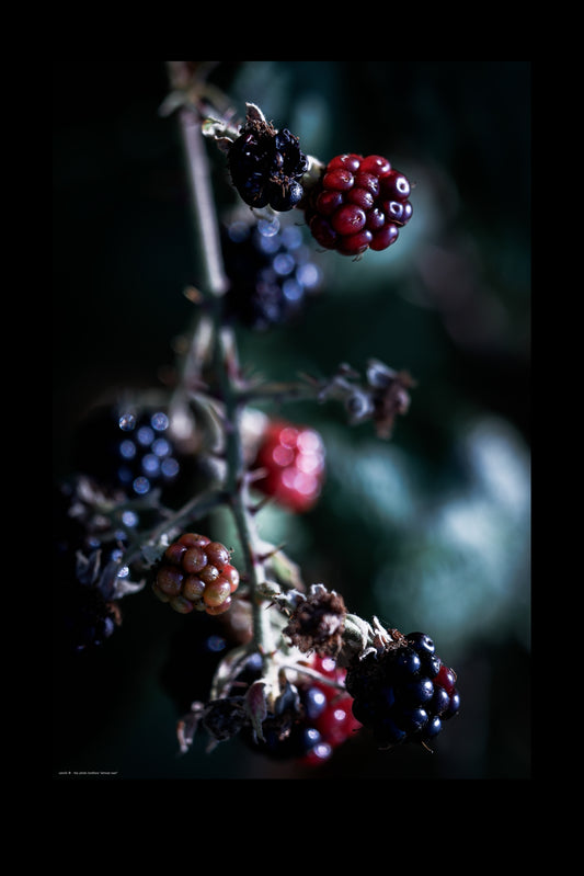 Wandbild "almost over"