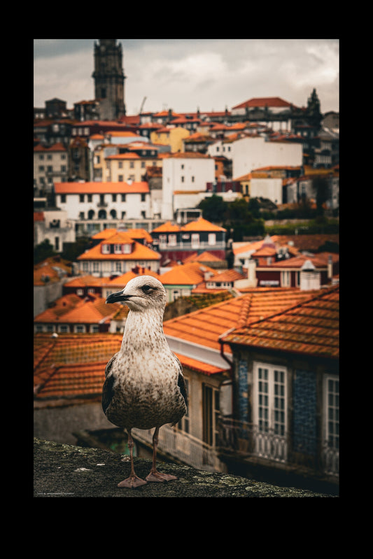 Wall Art "the lookout"