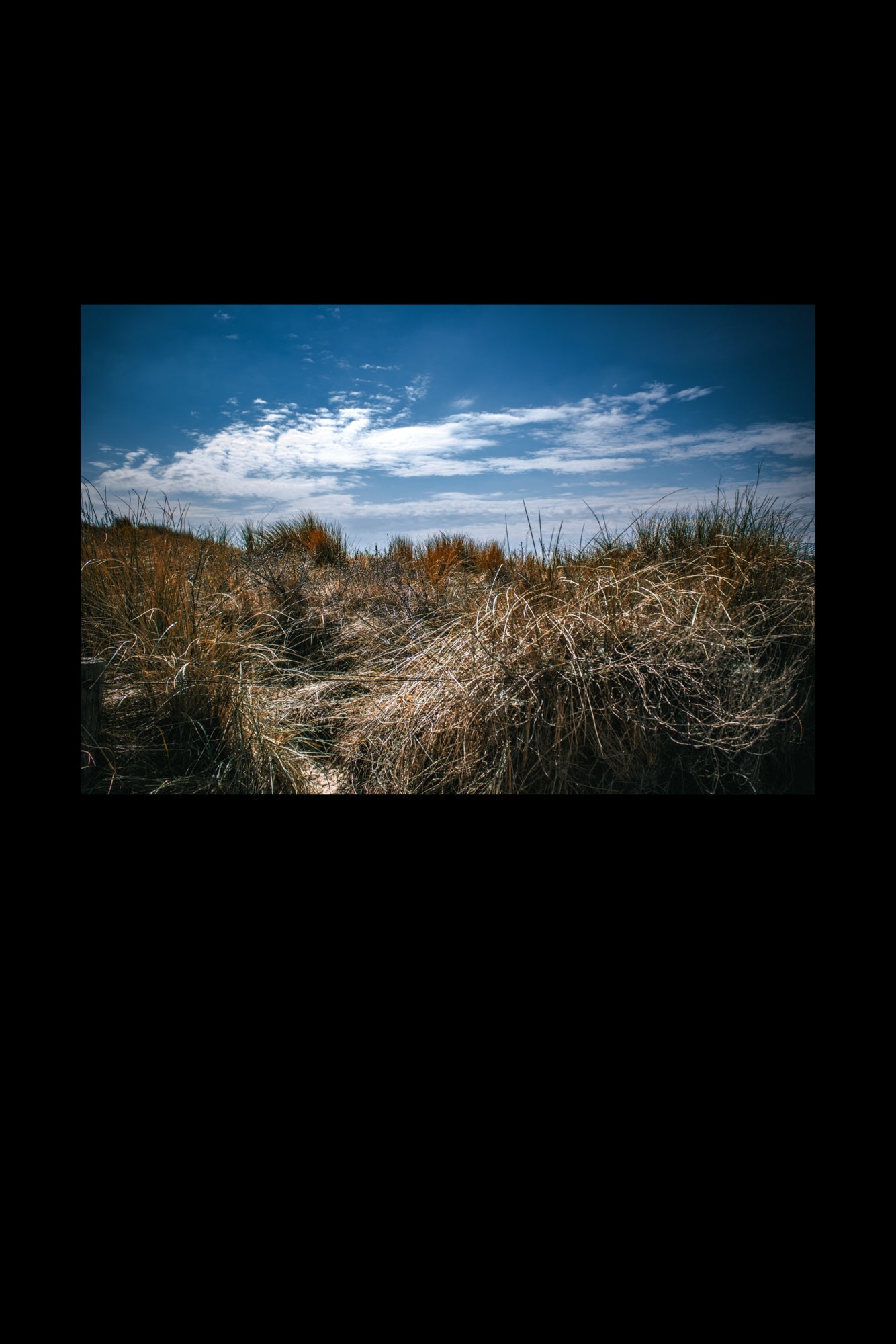 Wandbild "grassy view"