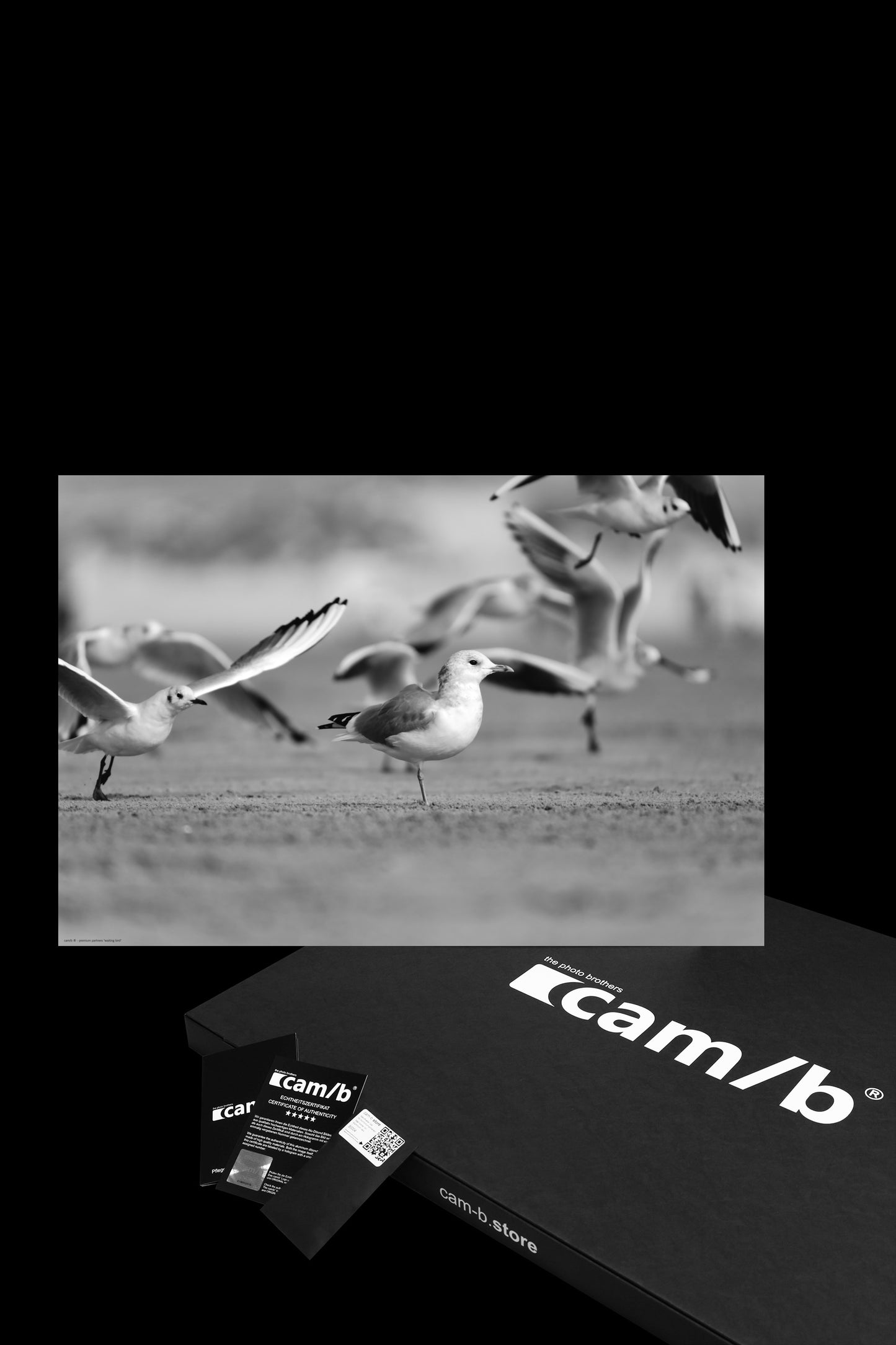 Wandbild "waiting bird"