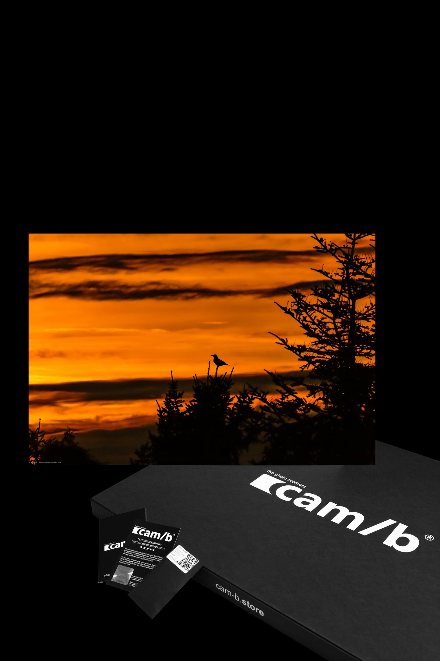 Wall Art "sundown view"