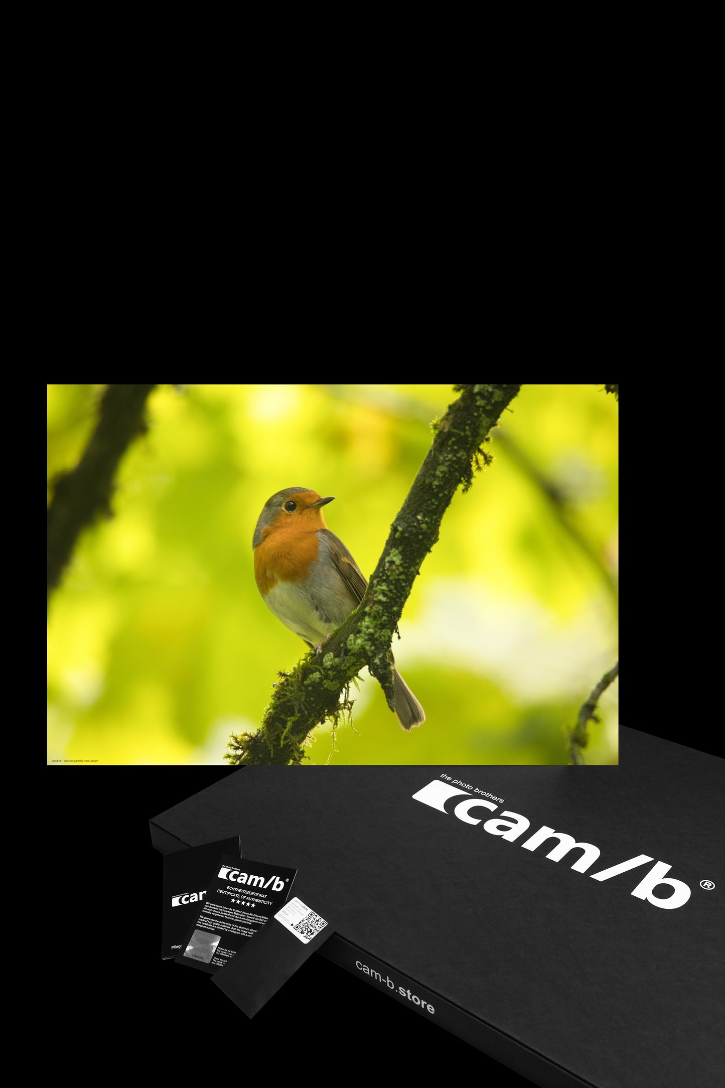 Wandbild "robin brown"