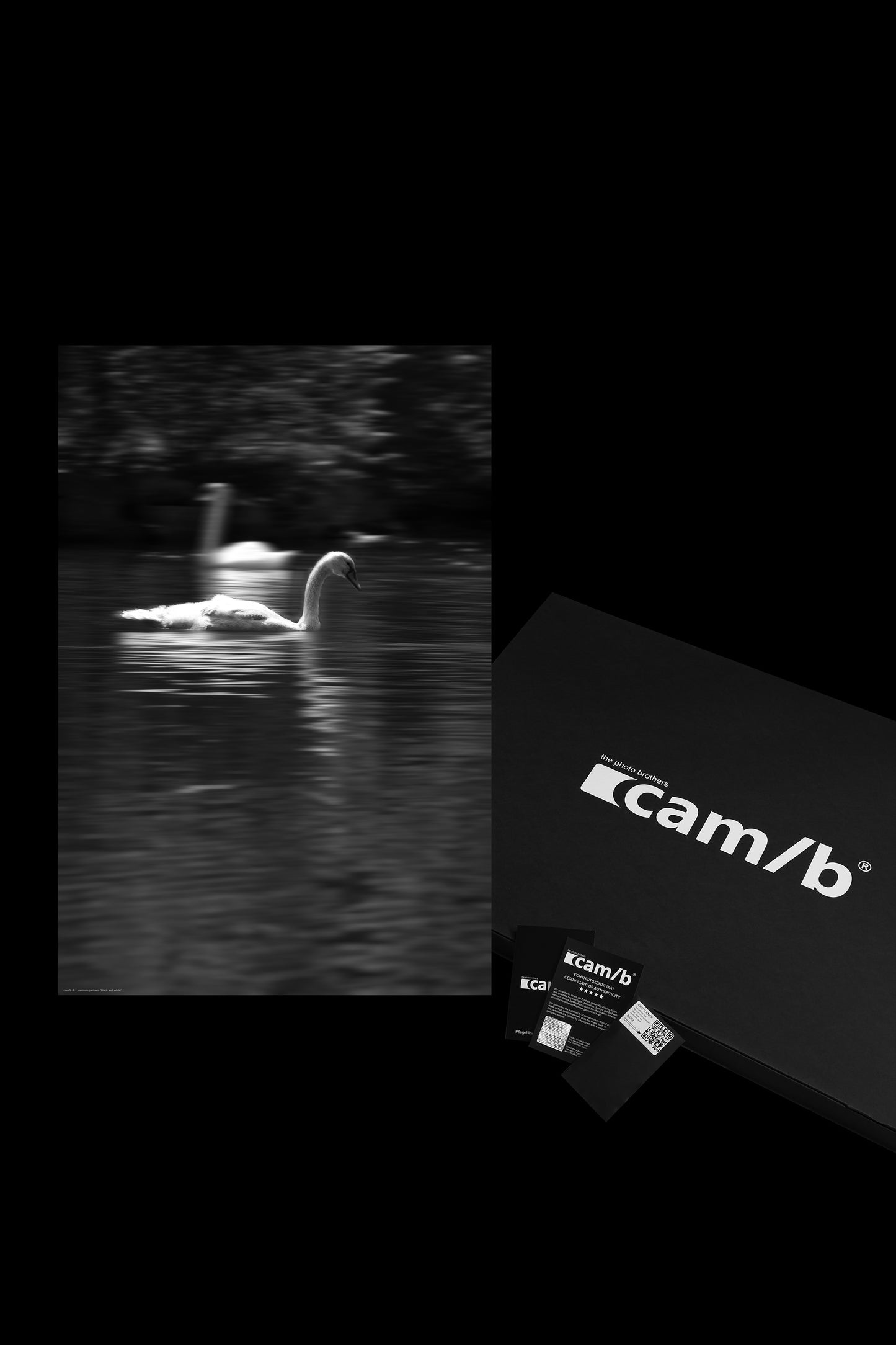 Wandbild "black and white"