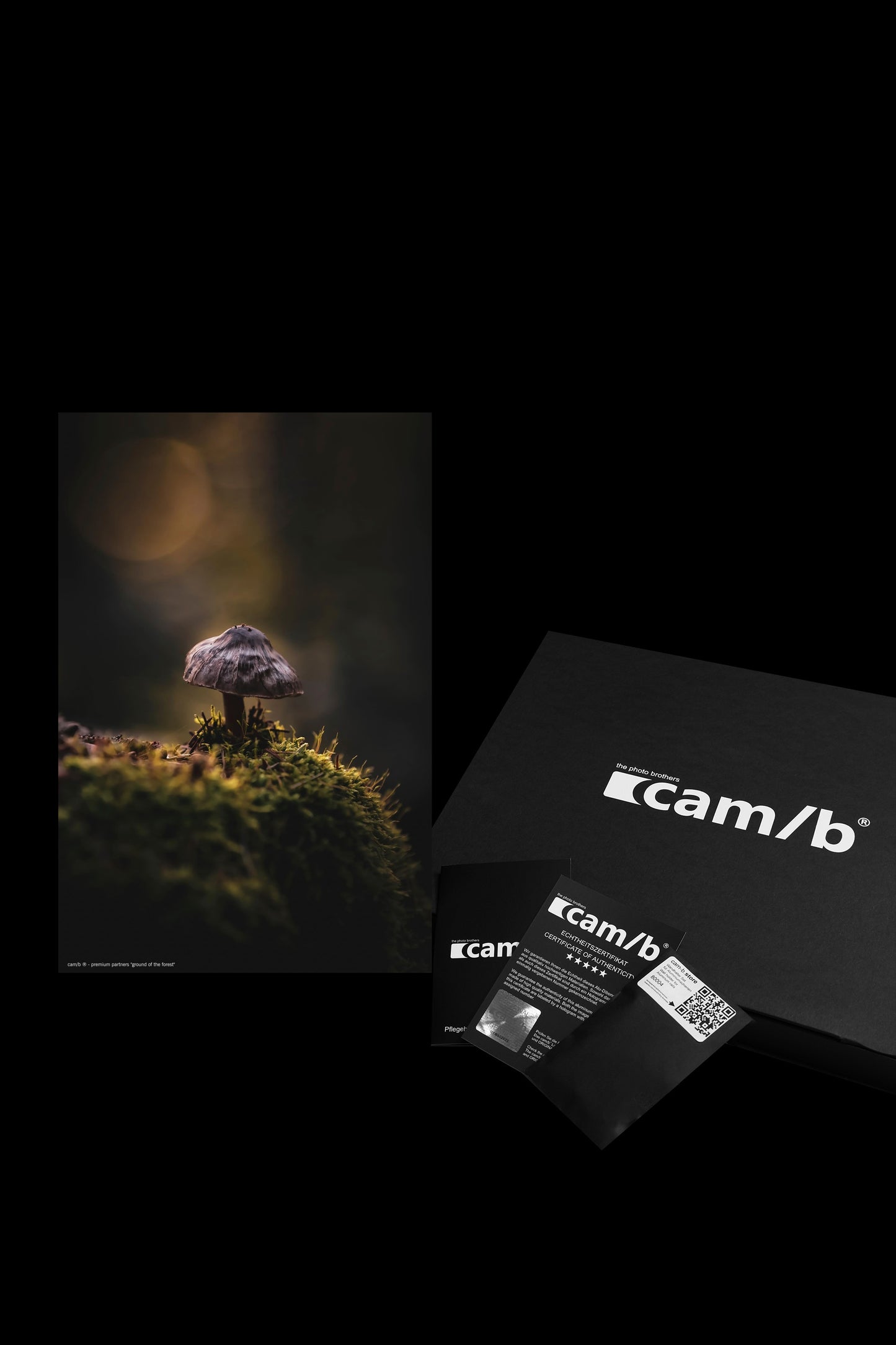 Wandbild "ground of the forest"