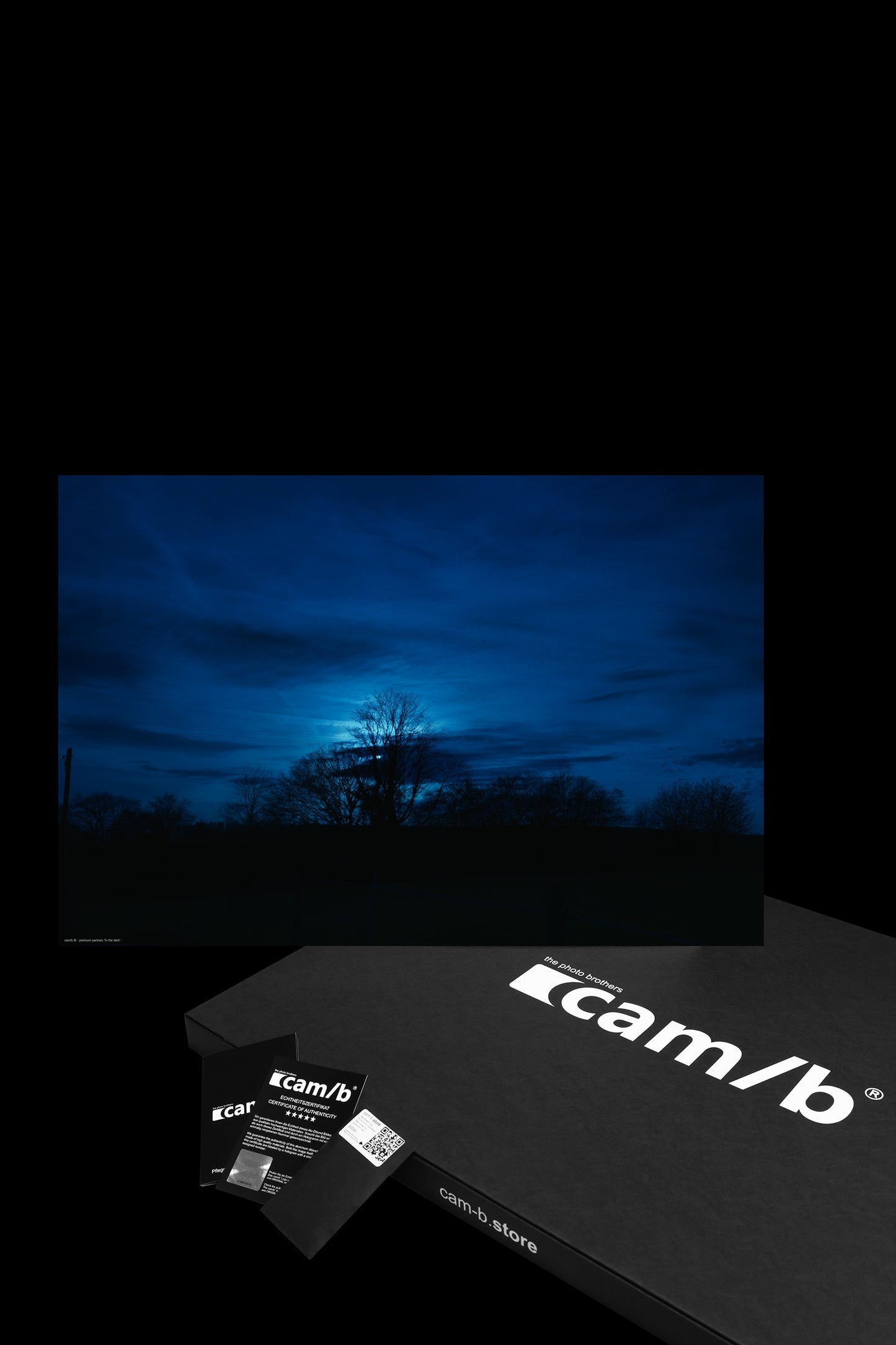 in the dark