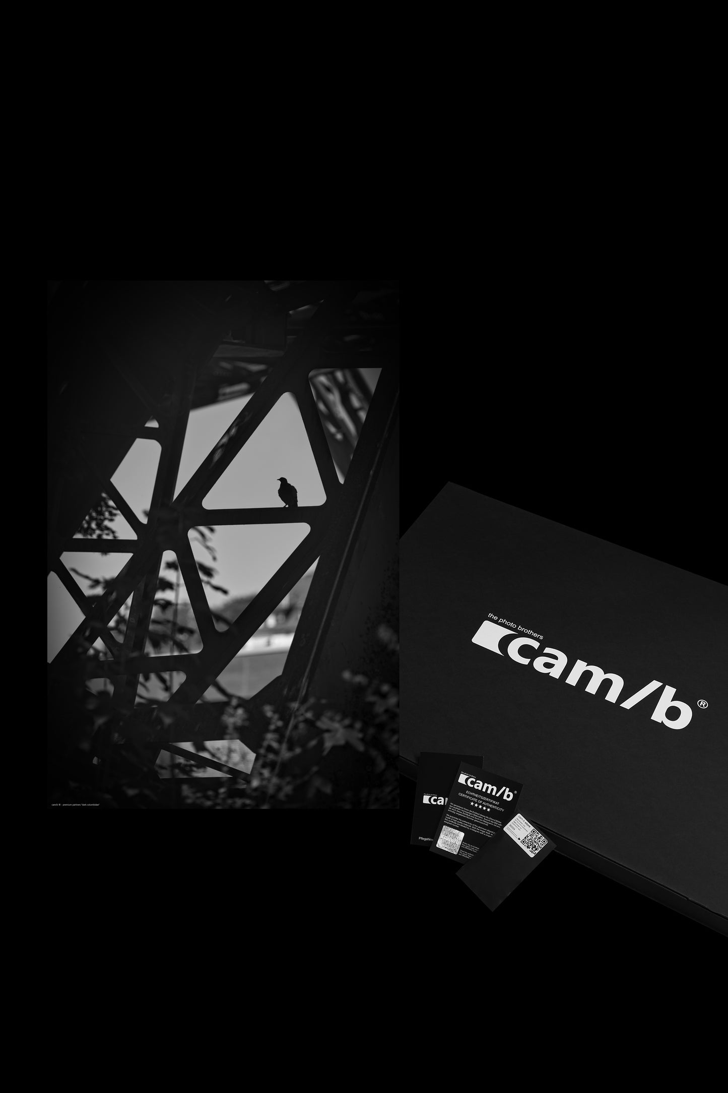 Wandbild "dark columbidae"