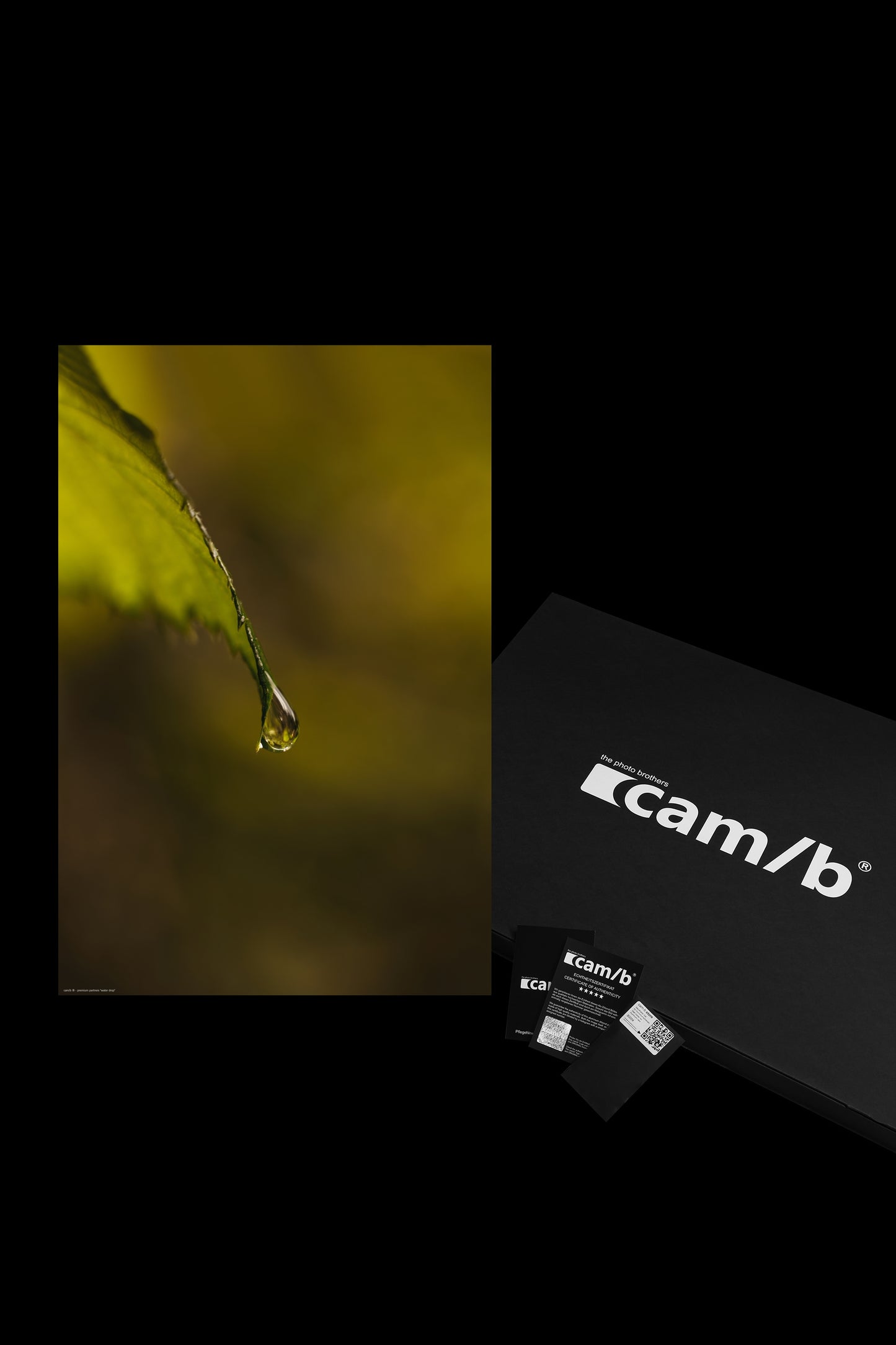 Wandbild "water drop"