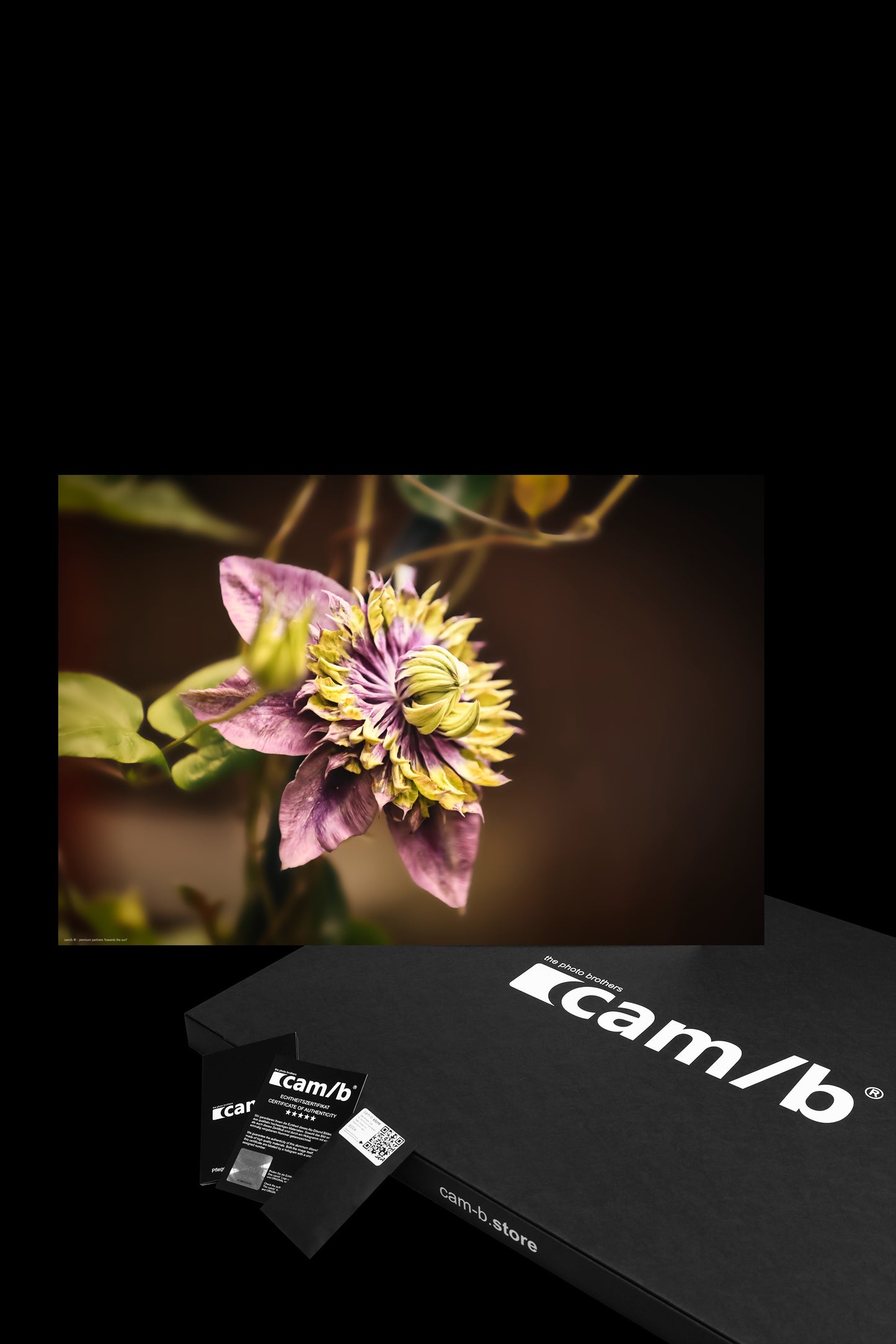 Wandbild "towards the sun"