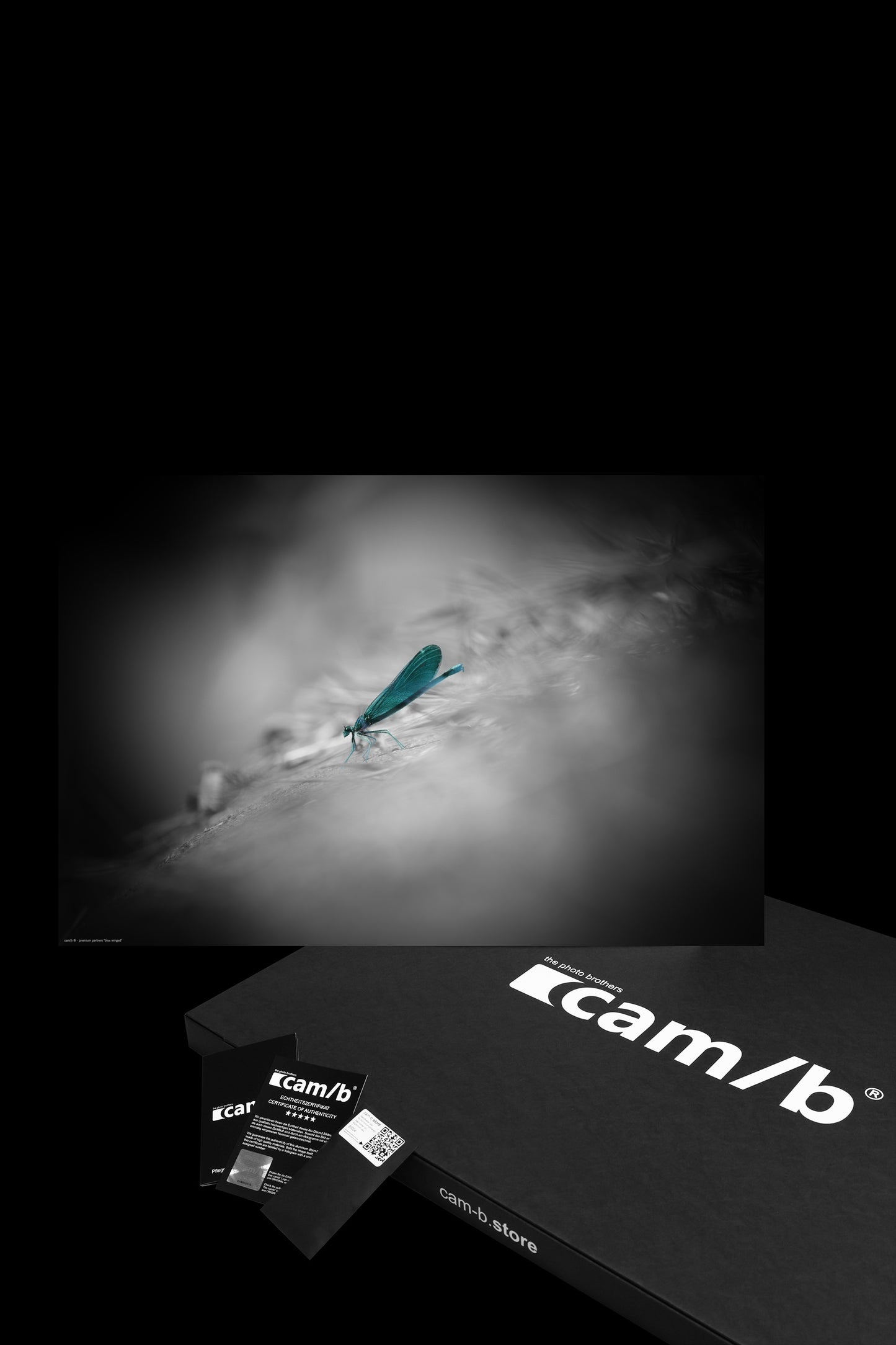 Wandbild "blue winged"