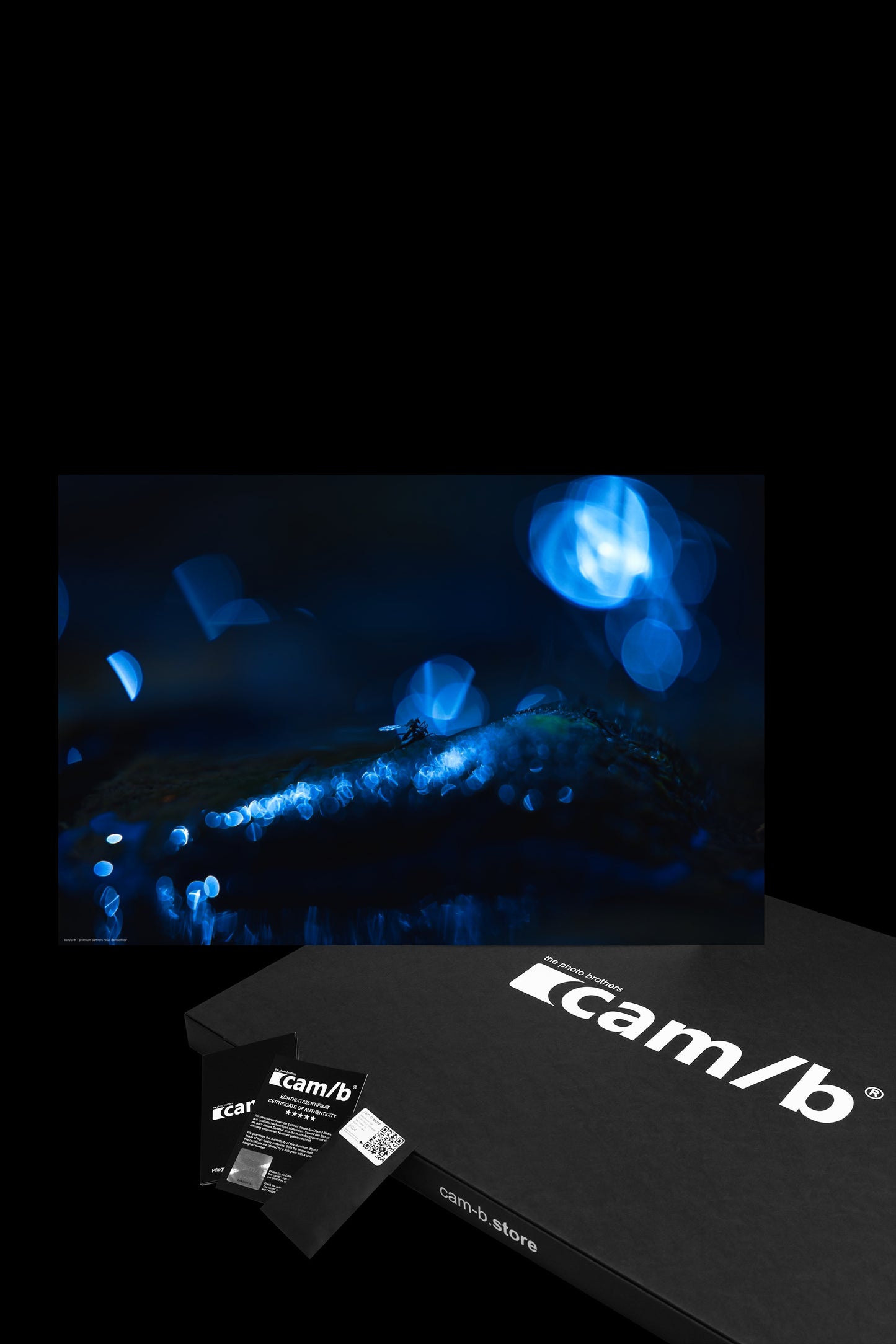 Wandbild "blue damselflies"