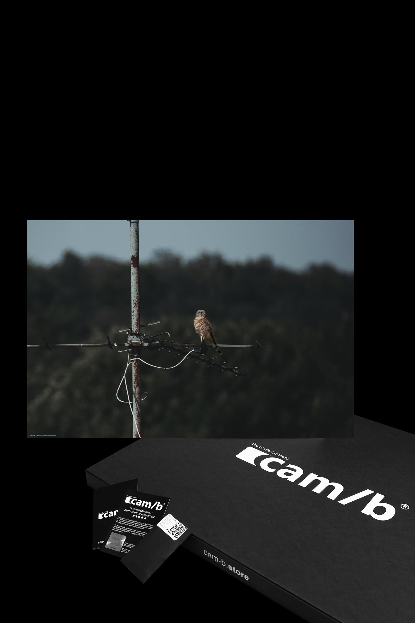 Wandbild "disturbance"