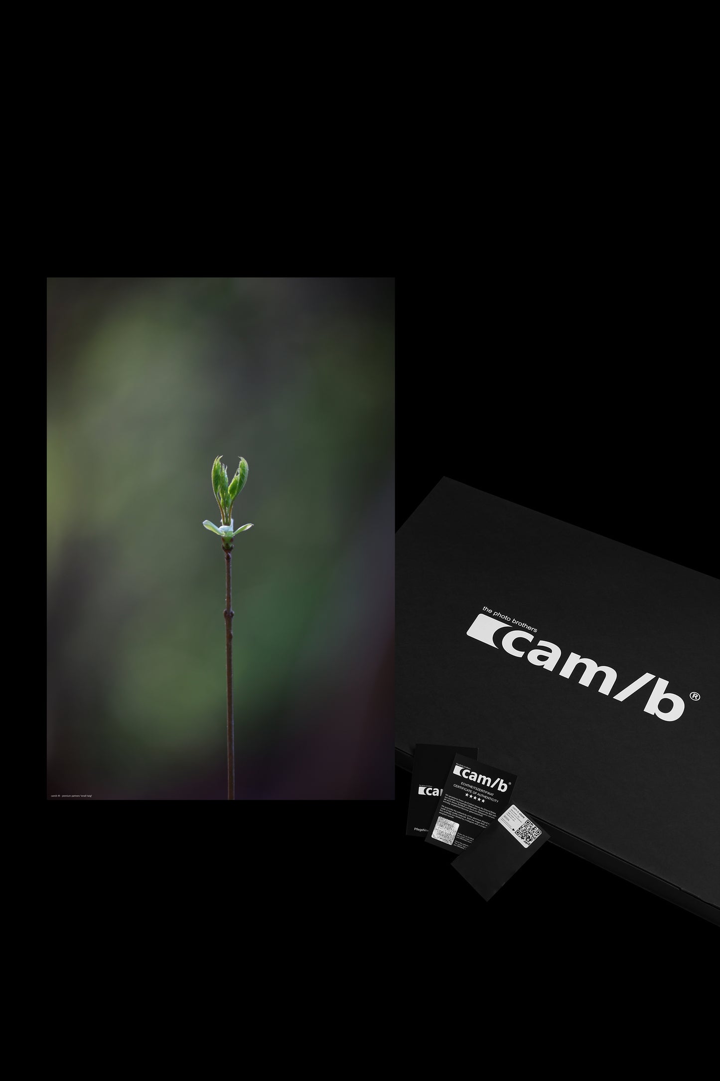 Wandbild "small twig"