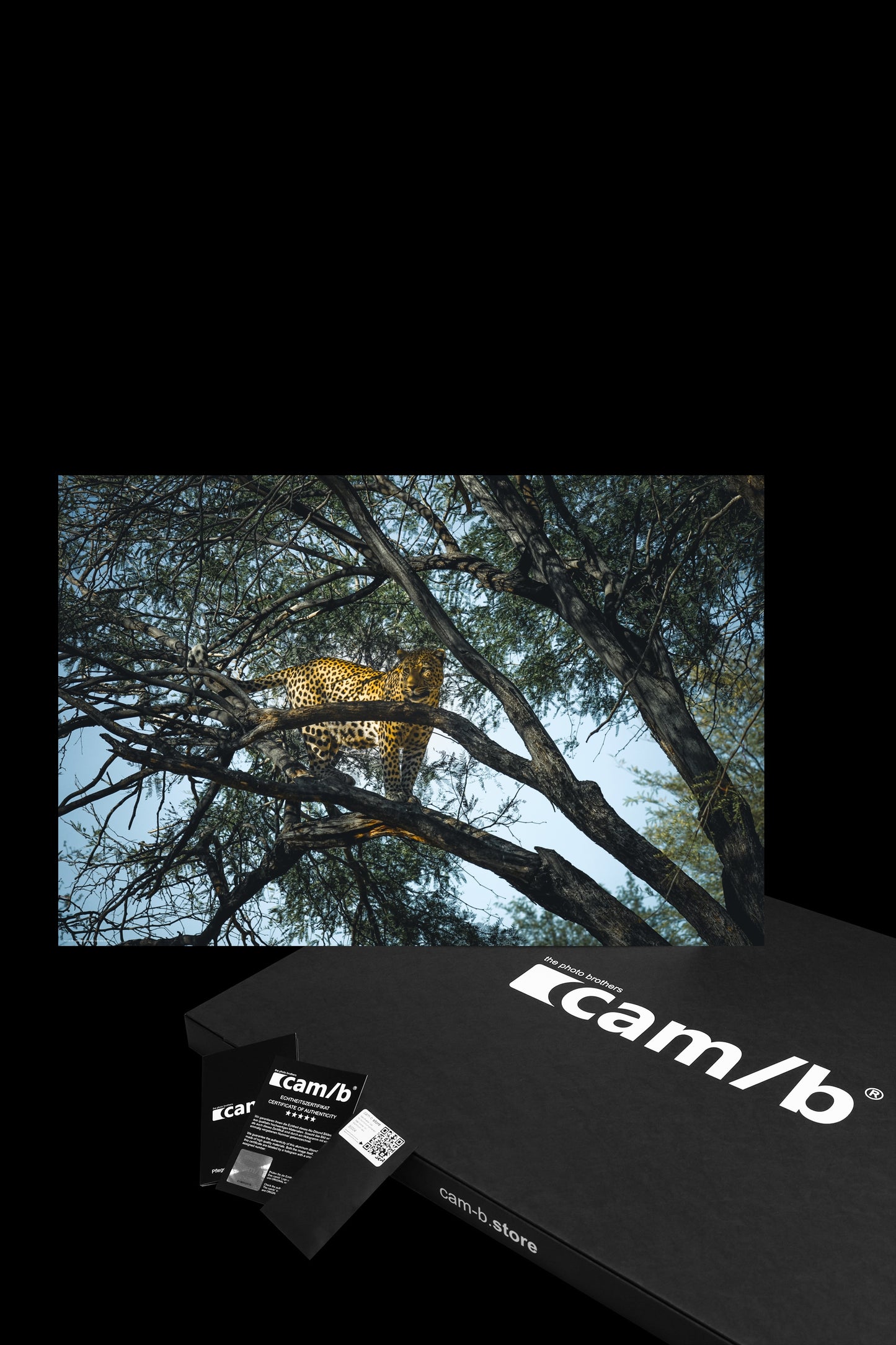 Wandbild "just one look"