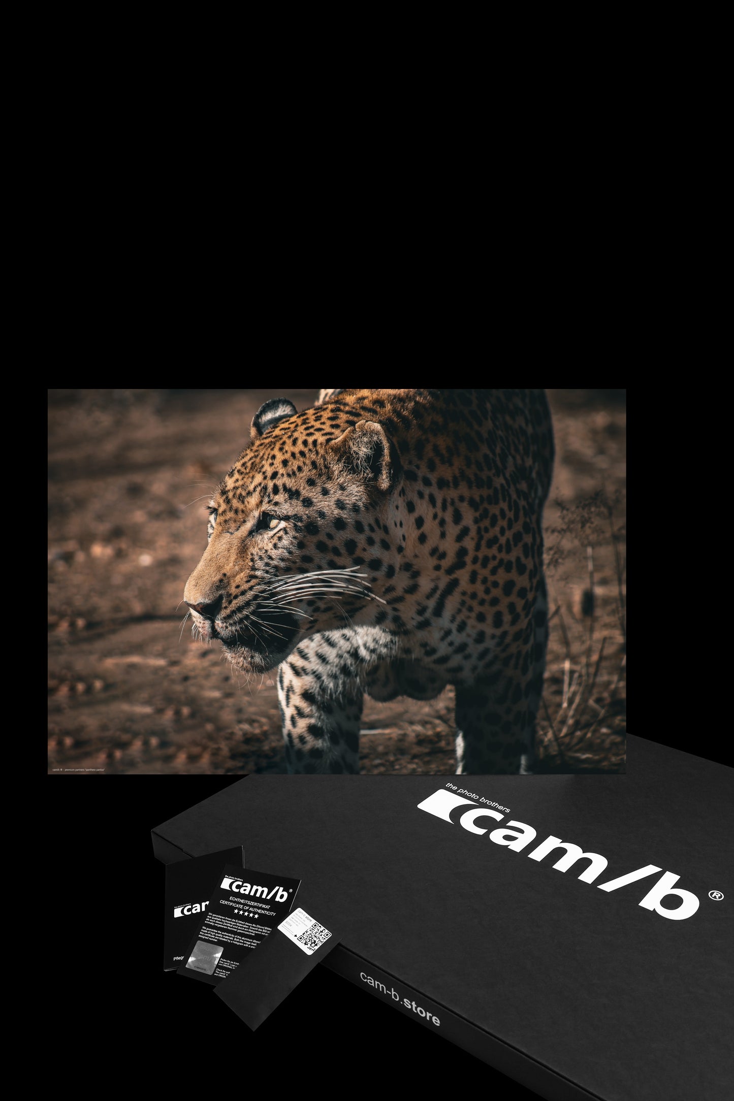 Wandbild "panthera pardus"