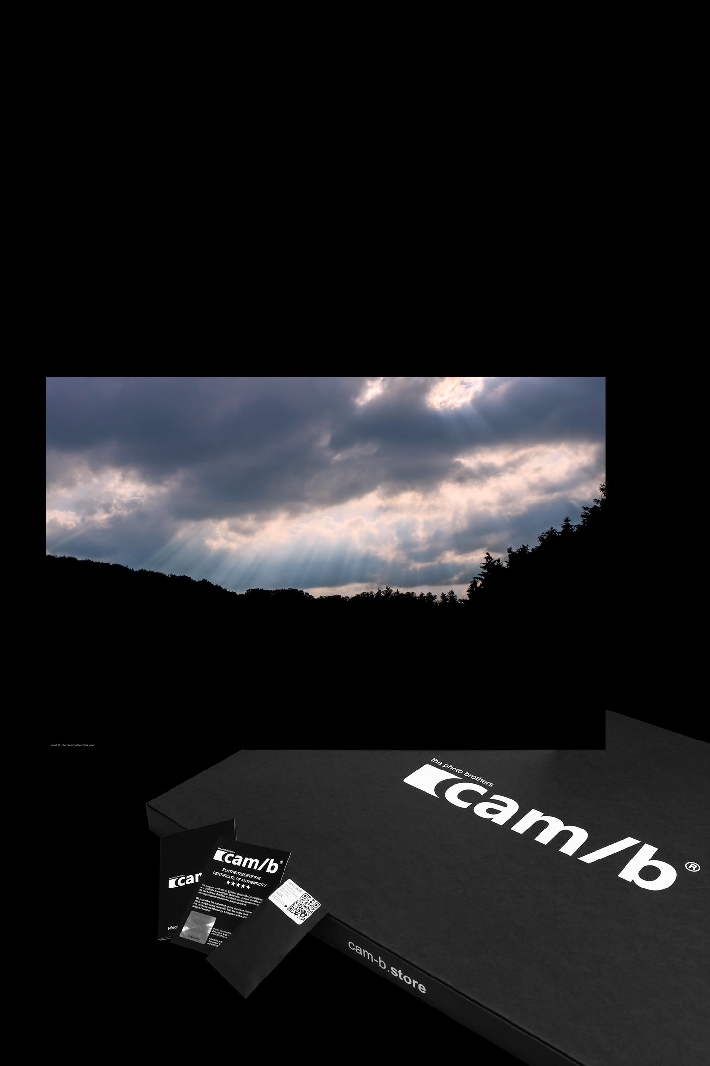 Wandbild "dark view"