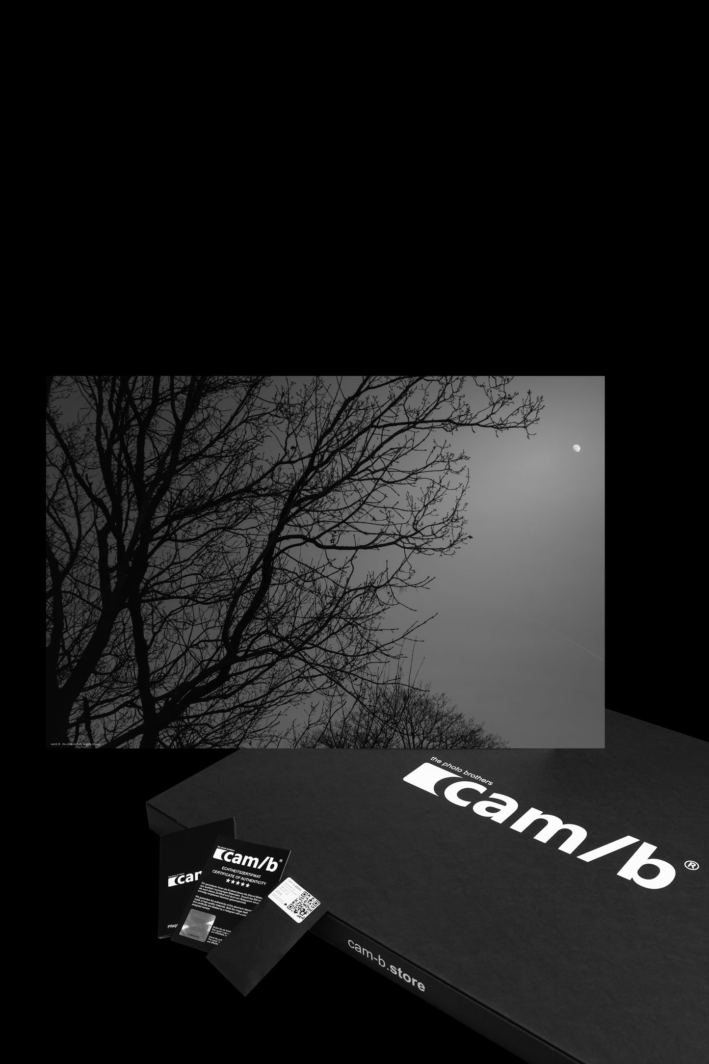 Wandbild "brightly shining"