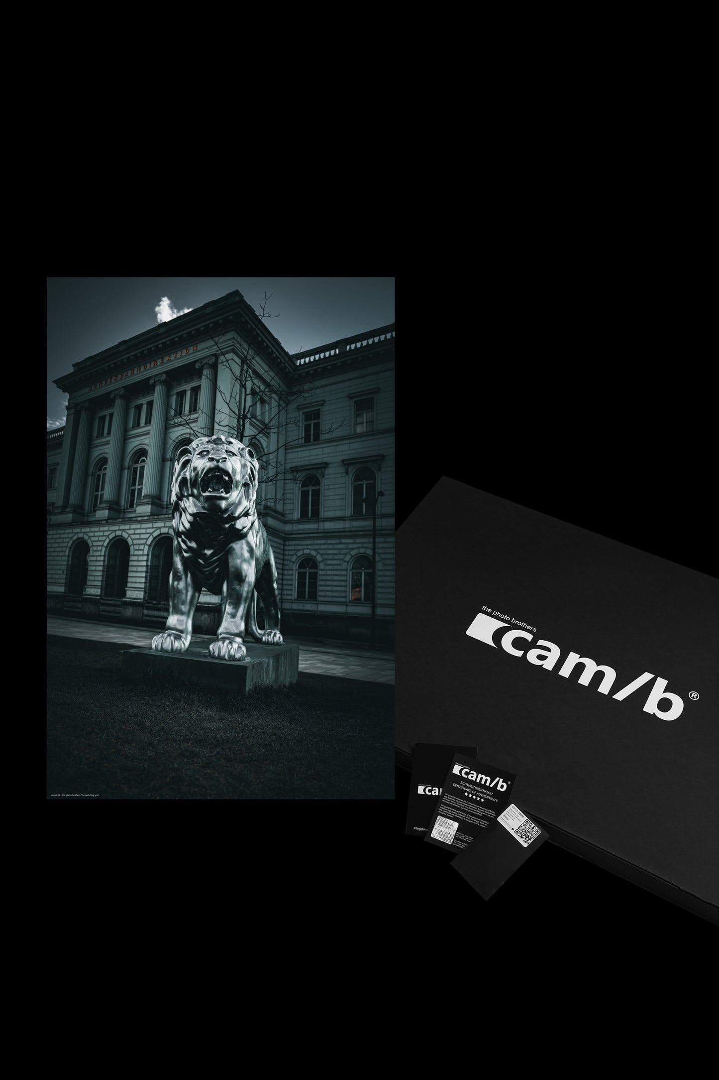 Wandbild "i'm watching you"