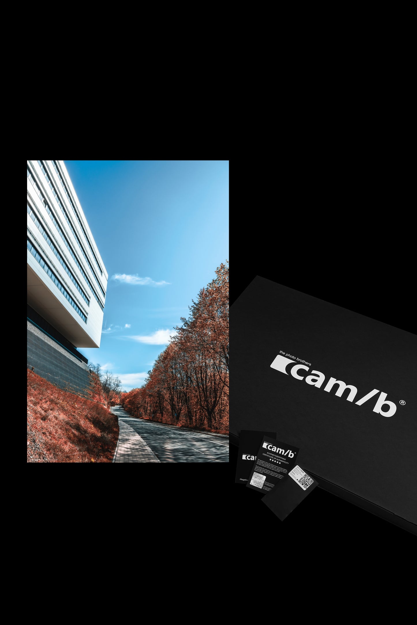 Wandbild "autumn street"