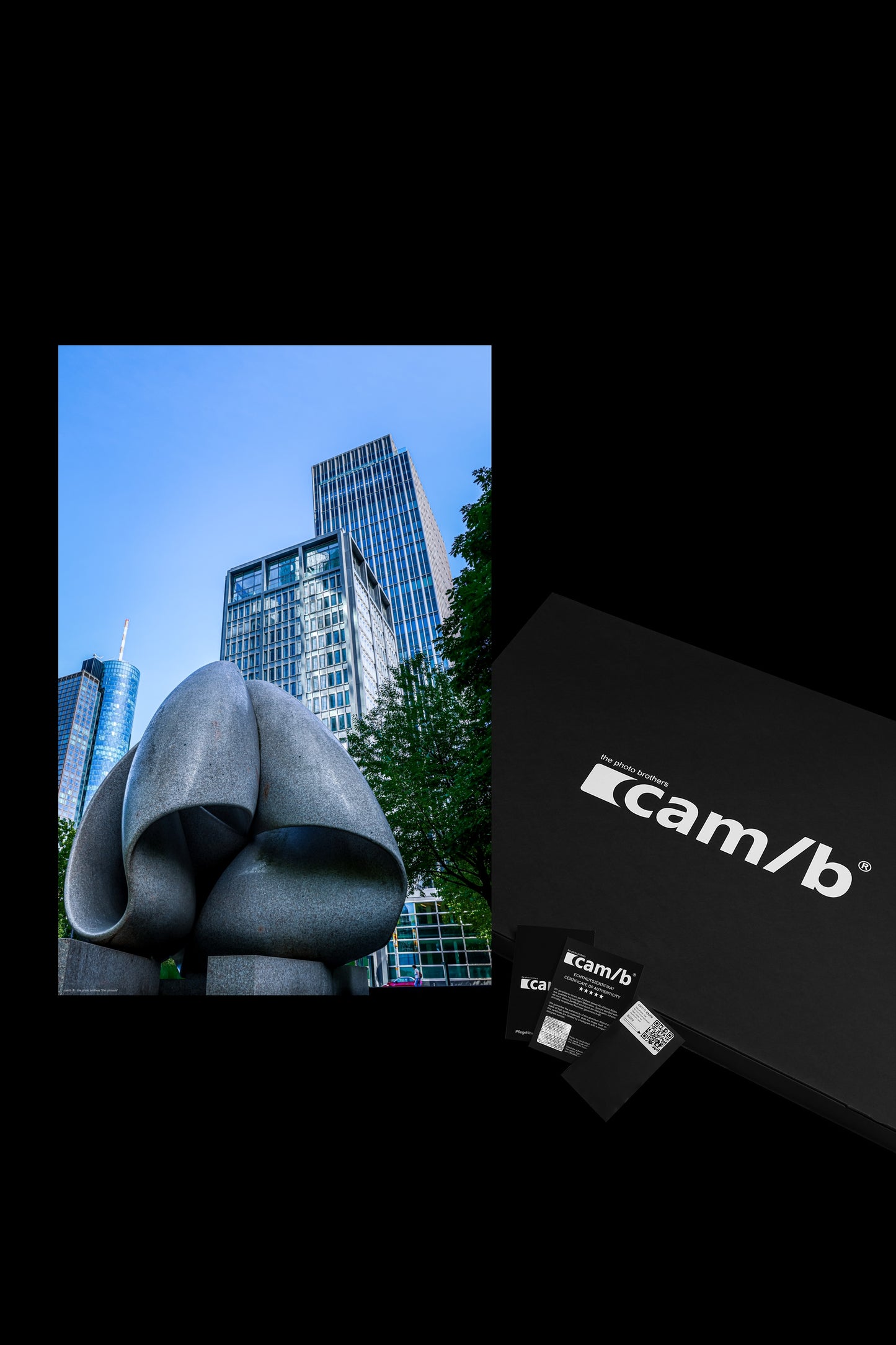 Wandbild "the colossus"