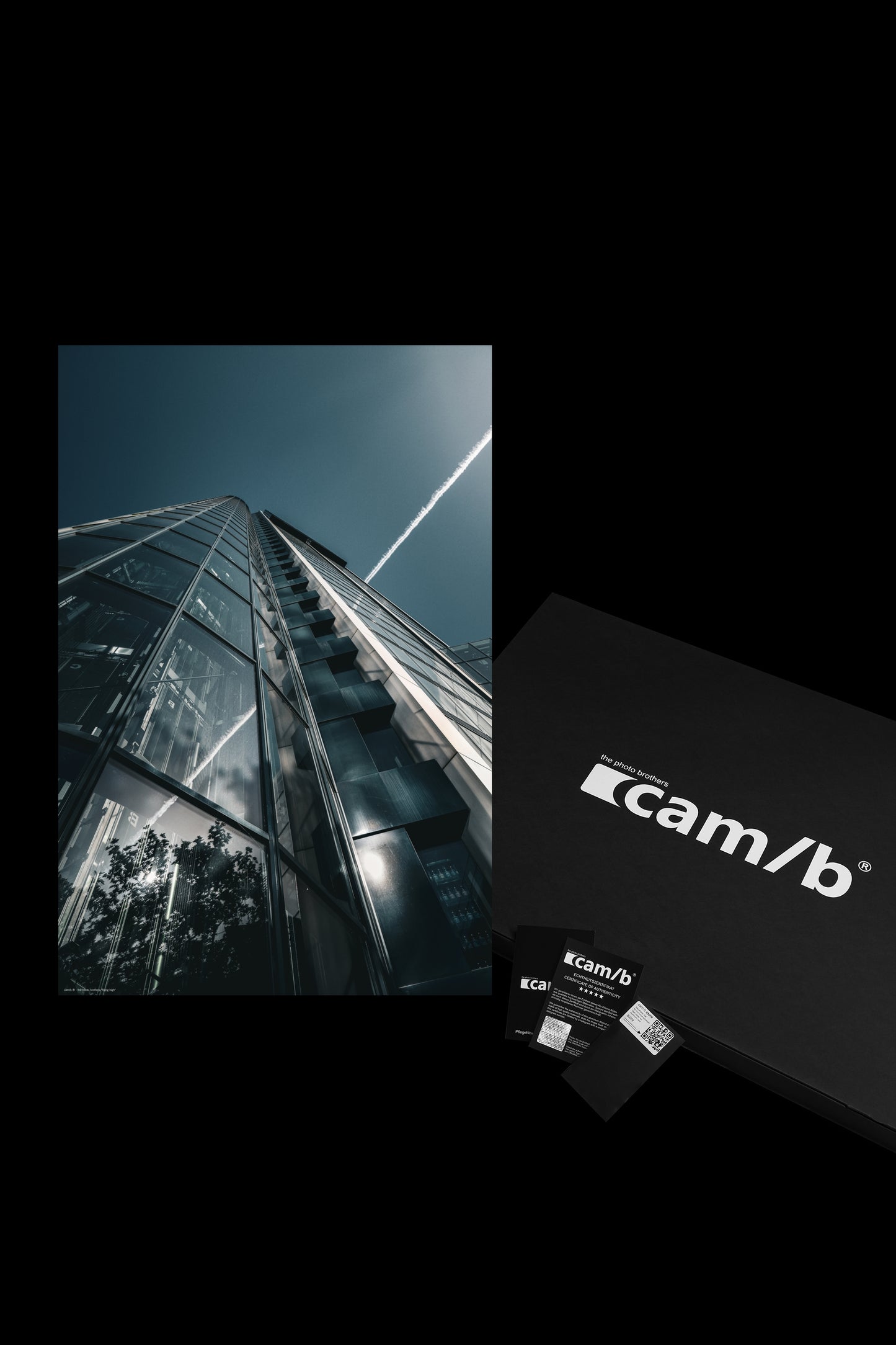 Wandbild "flying high"